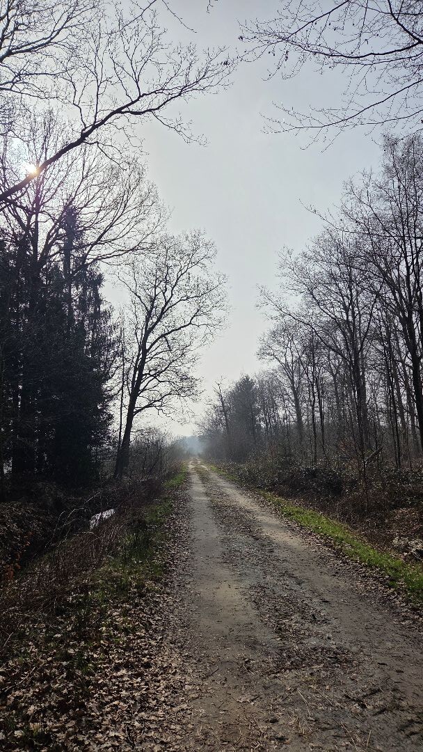 Geesbrug - Meppen · Cultuurpad Coevorden etappe 2