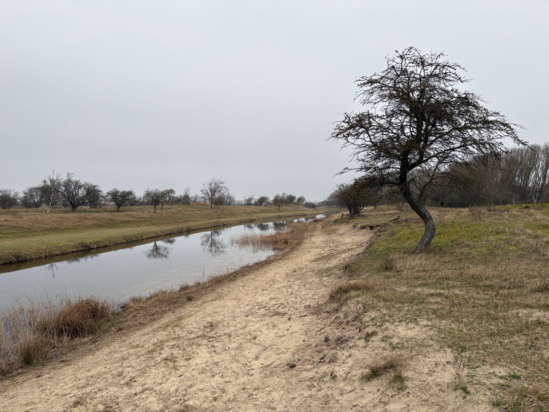 Groene paaltjesroute Zandvoortselaan