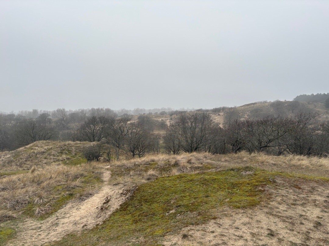Groene paaltjesroute Zandvoortselaan