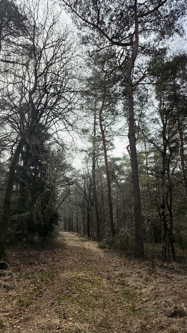 Geesbrug - Meppen · Cultuurpad Coevorden etappe 2