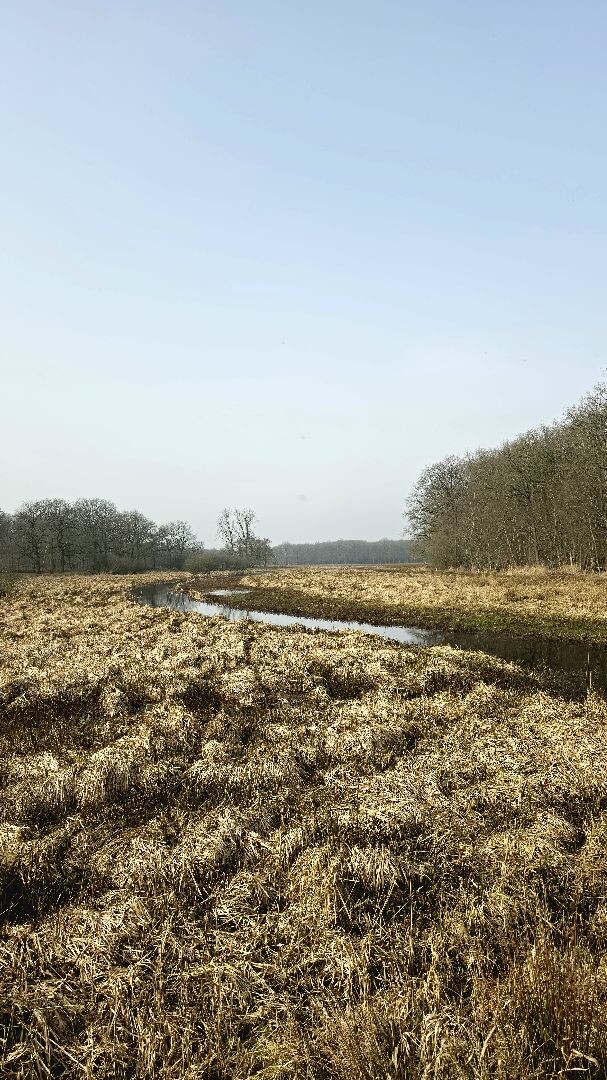 Meppen - Gees · Cultuurpad Coevorden etappe 3