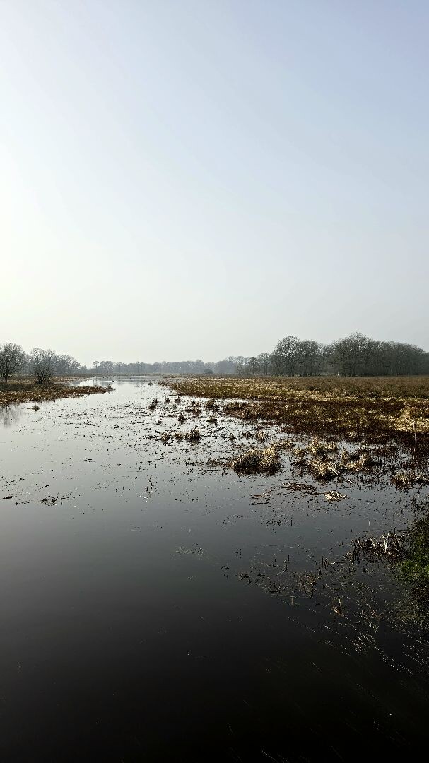 Meppen - Gees · Cultuurpad Coevorden etappe 3