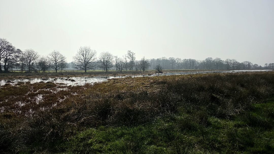 Meppen - Gees · Cultuurpad Coevorden etappe 3