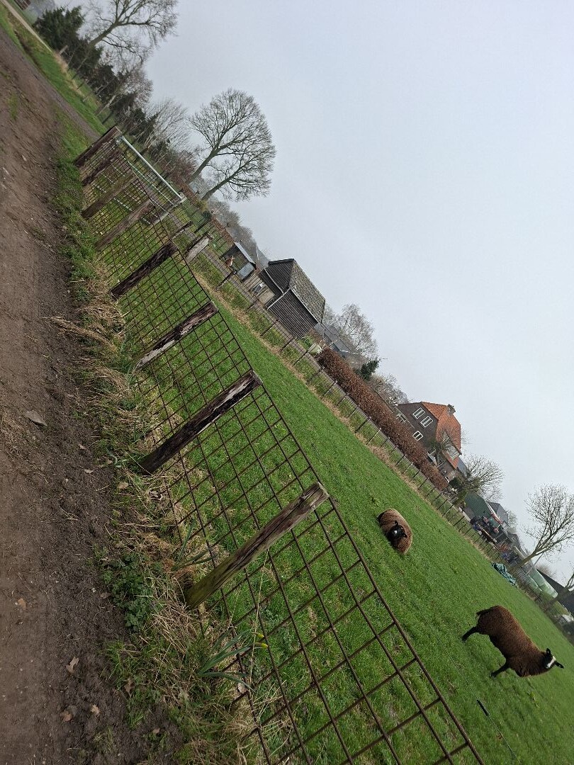 De klomp_ederveen_ ede - de klomp