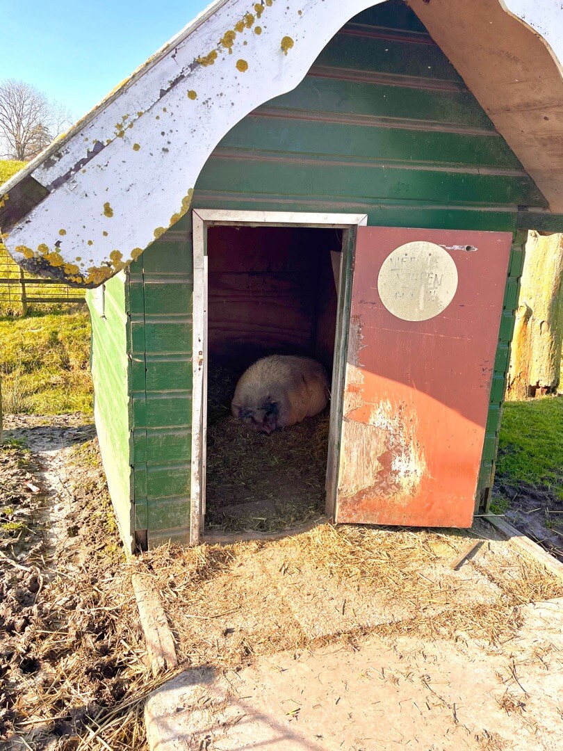 Groningen - Garnwerd
