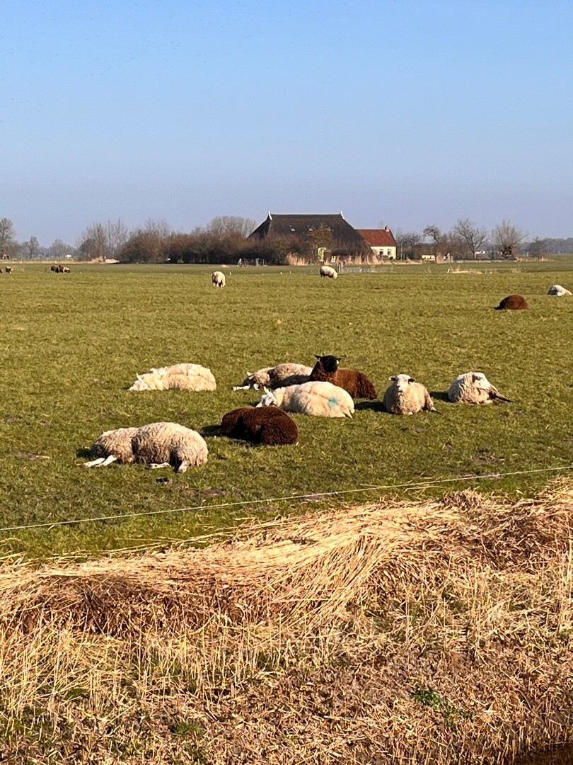 Groningen - Garnwerd