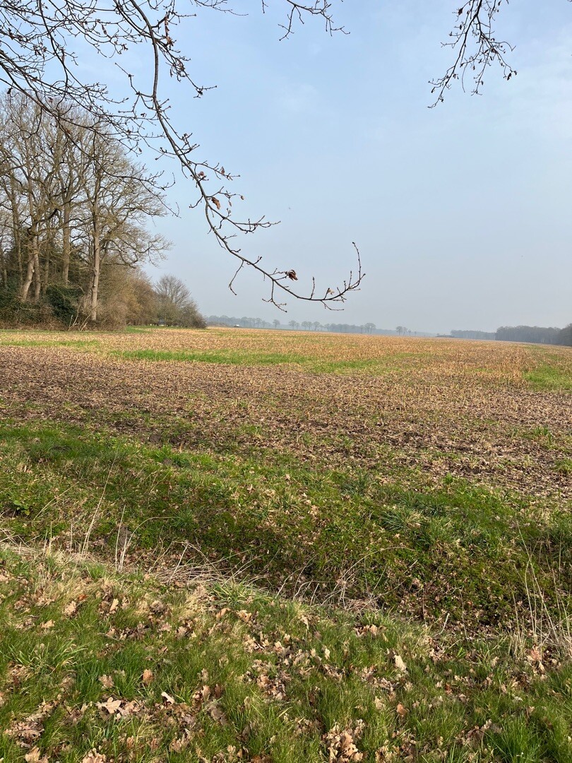 Weiteveen - Emlichheim · Noaberpad etappe 8