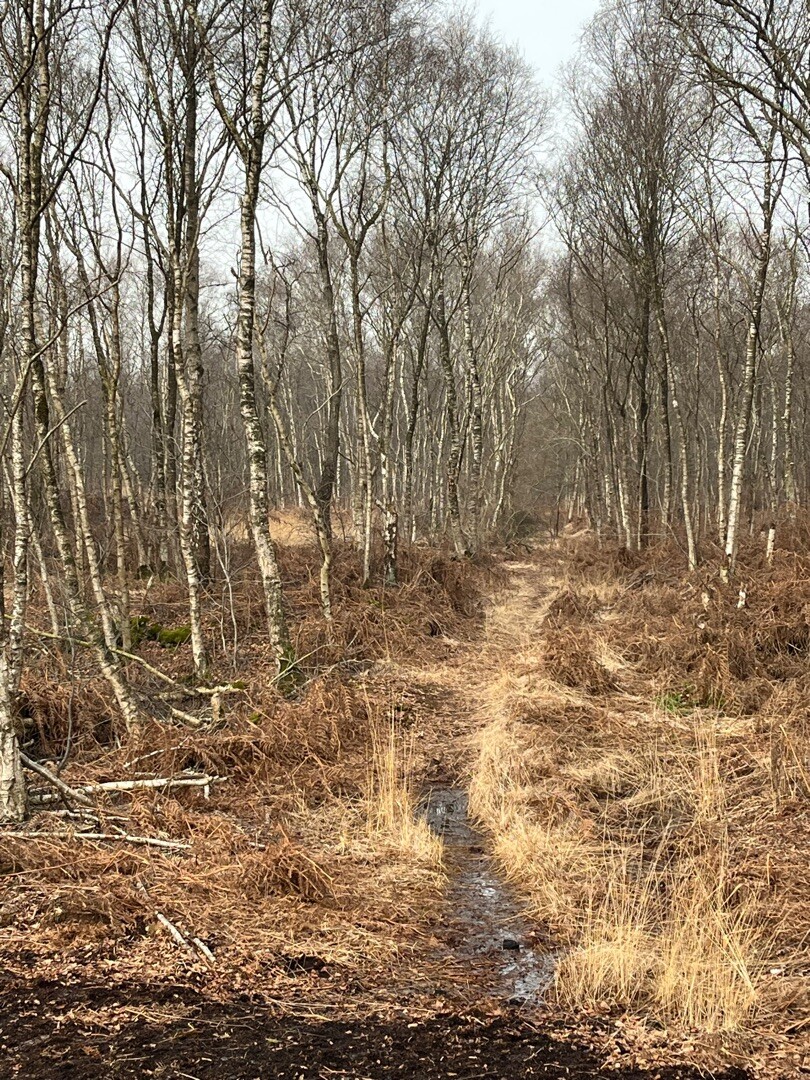 Weiteveen - Emlichheim · Noaberpad etappe 8