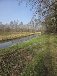 Ulebelt - Oranje