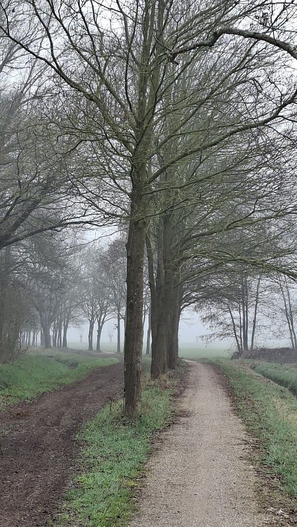 Uden - Veghel · Roots Natuurpad etappe 27