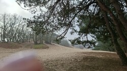 Uden - Veghel · Roots Natuurpad etappe 27