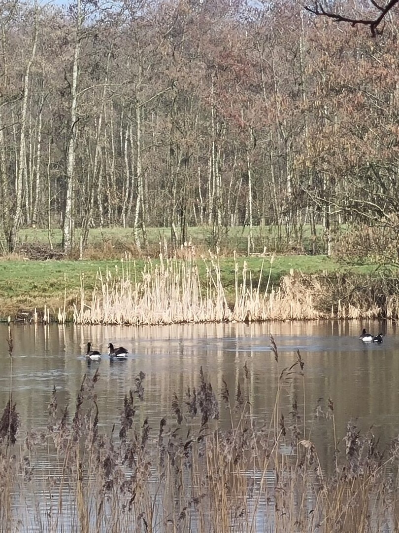 Buitenpost-veenkloister