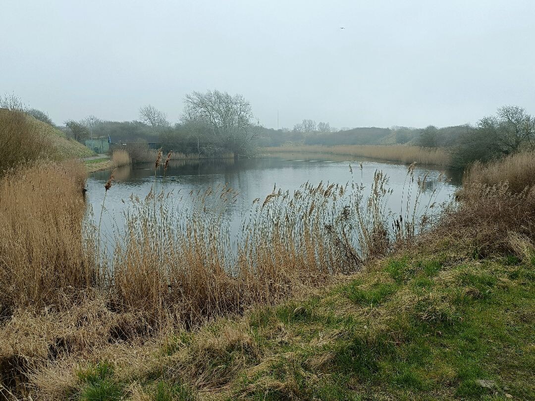 Den Helder - Julianadorp · Noord-Hollandpad etappe 3