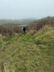Den Helder - Julianadorp · Noord-Hollandpad etappe 3