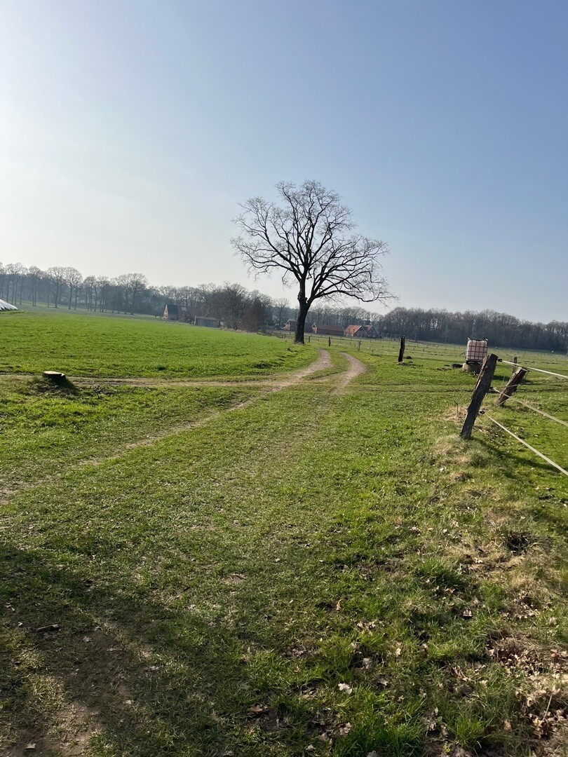 Esche - Hesingen · Noaberpad etappe 10