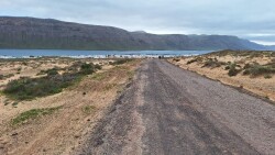 Ruta del Pedro Barba