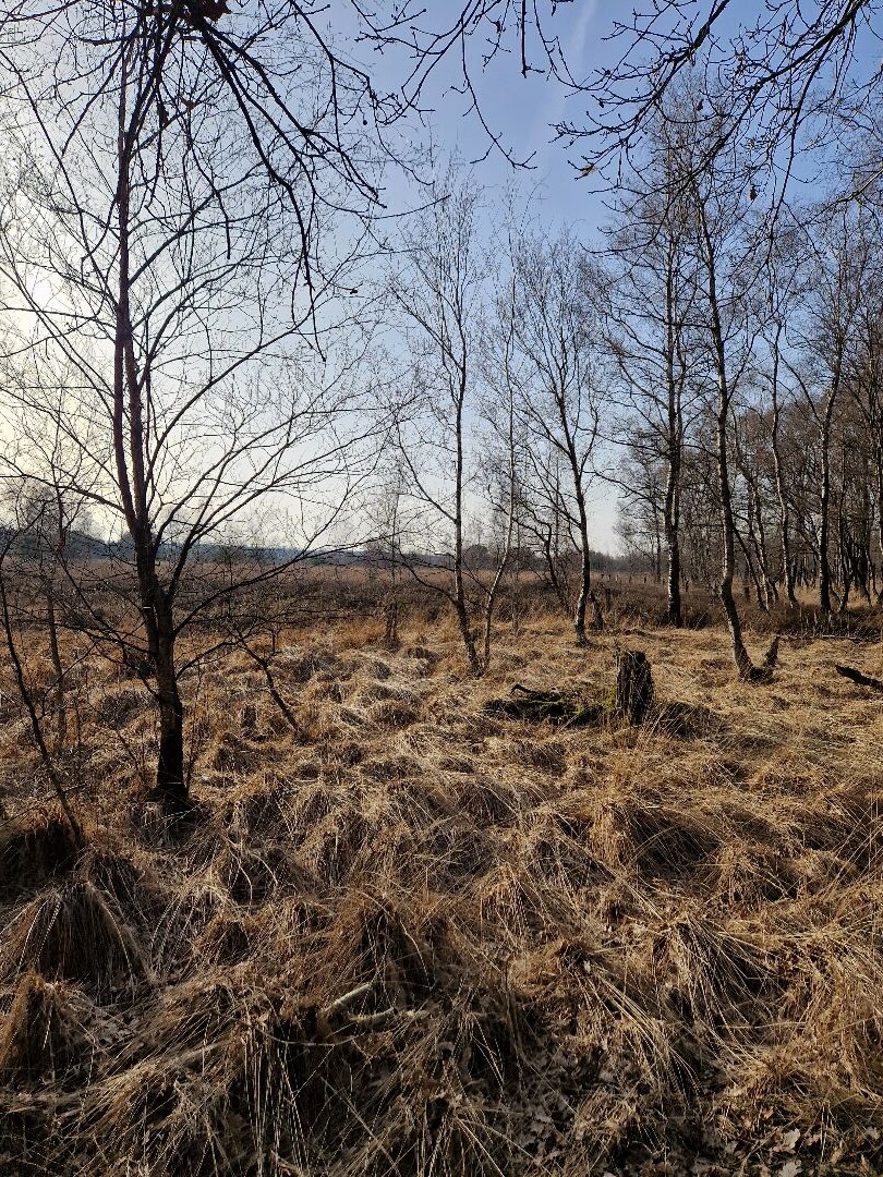 Zwillbrocker Vennroute