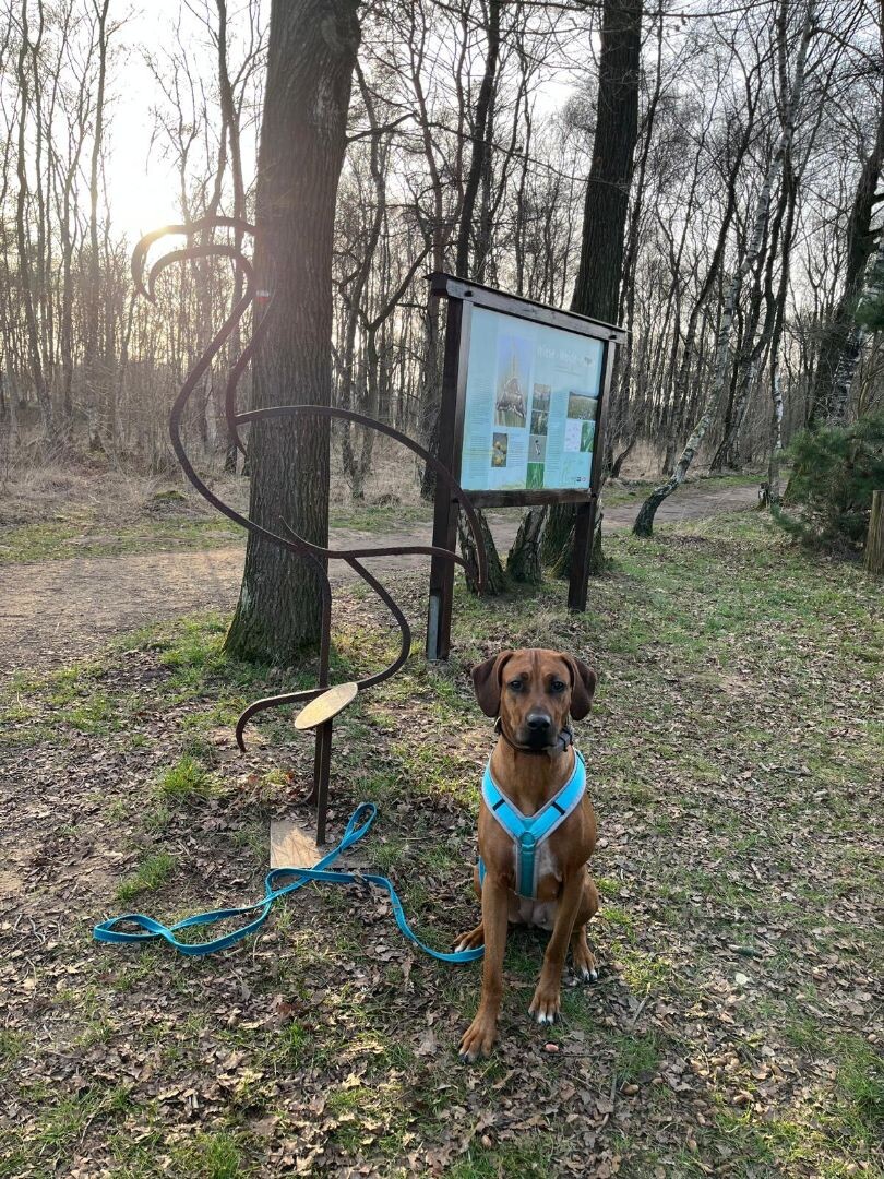 Rondje Zwillbrocker Venn