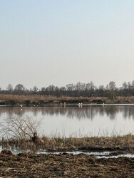 Zwillbrocker Vennroute