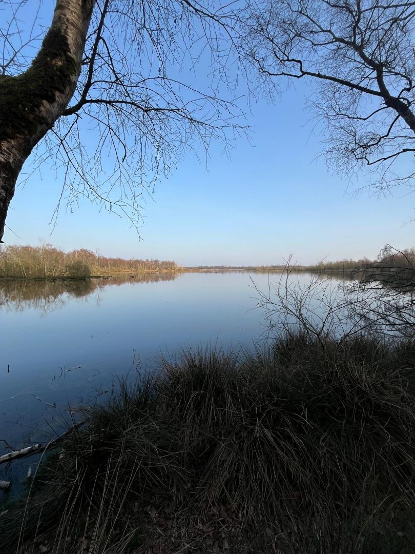 Rondje Zwillbrocker Venn