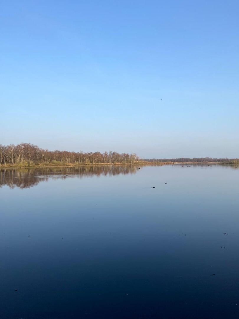 Rondje Zwillbrocker Venn