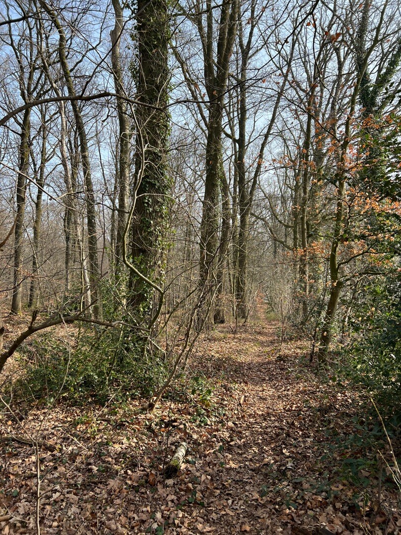 Lochemse Camino 2e etappe · De Lochemse Camino etappe 2