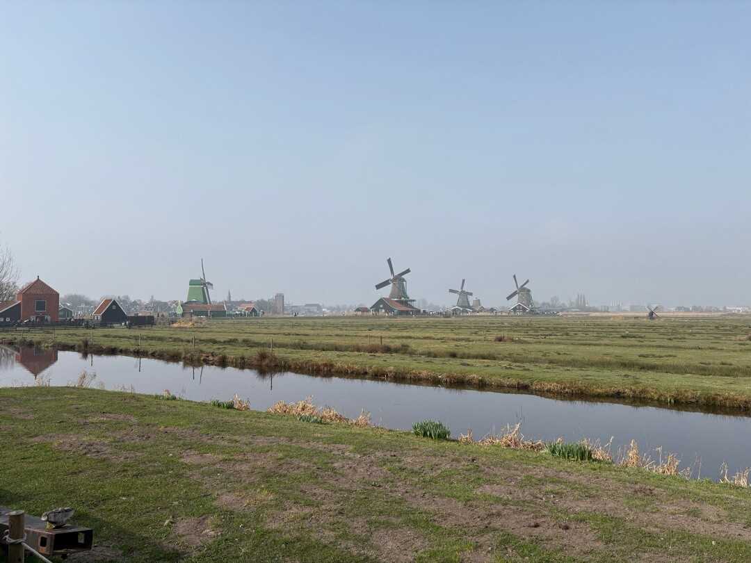 Zaanse schans grutto's