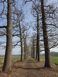 Langbroek - Amerongen · Trekvogelpad etappe 13