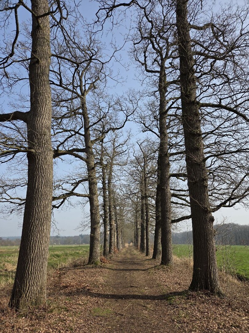 Langbroek - Amerongen · Trekvogelpad etappe 13