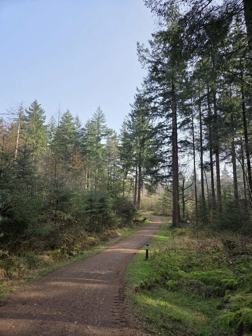 Amerongen - Rhenen · Trekvogelpad etappe 14