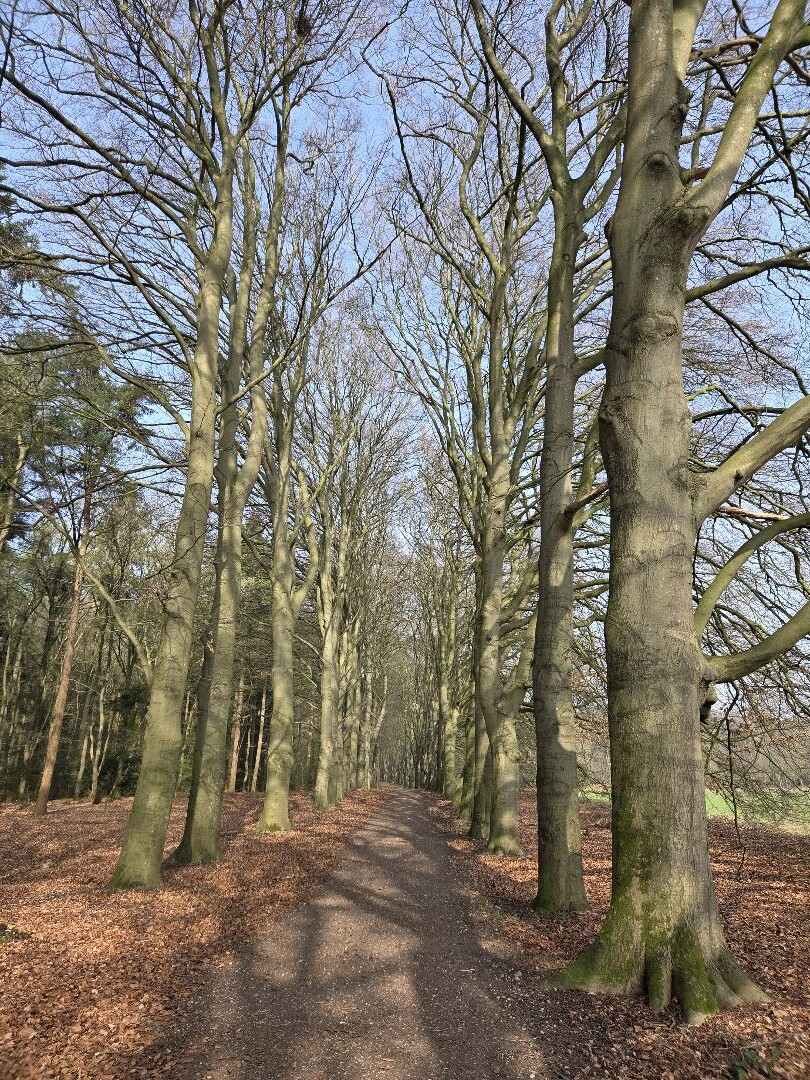 Amerongen - Rhenen · Trekvogelpad etappe 14