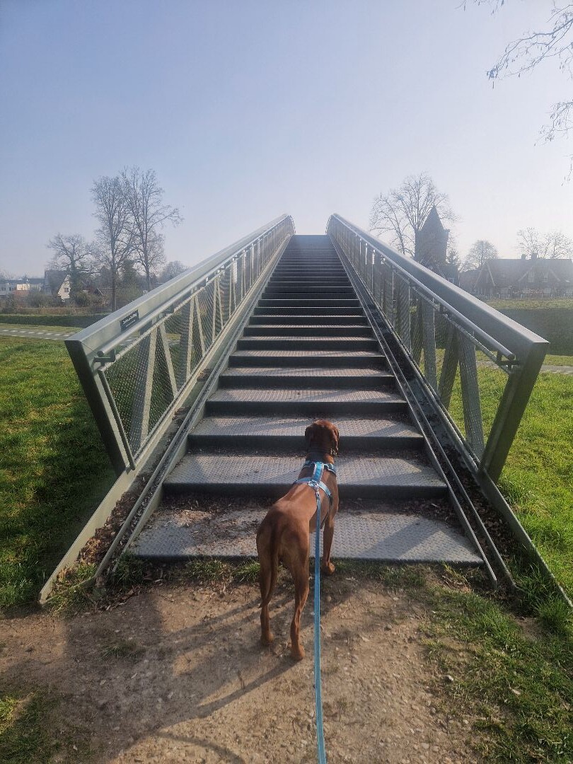 Umfassungsweg Landgoed Twickel