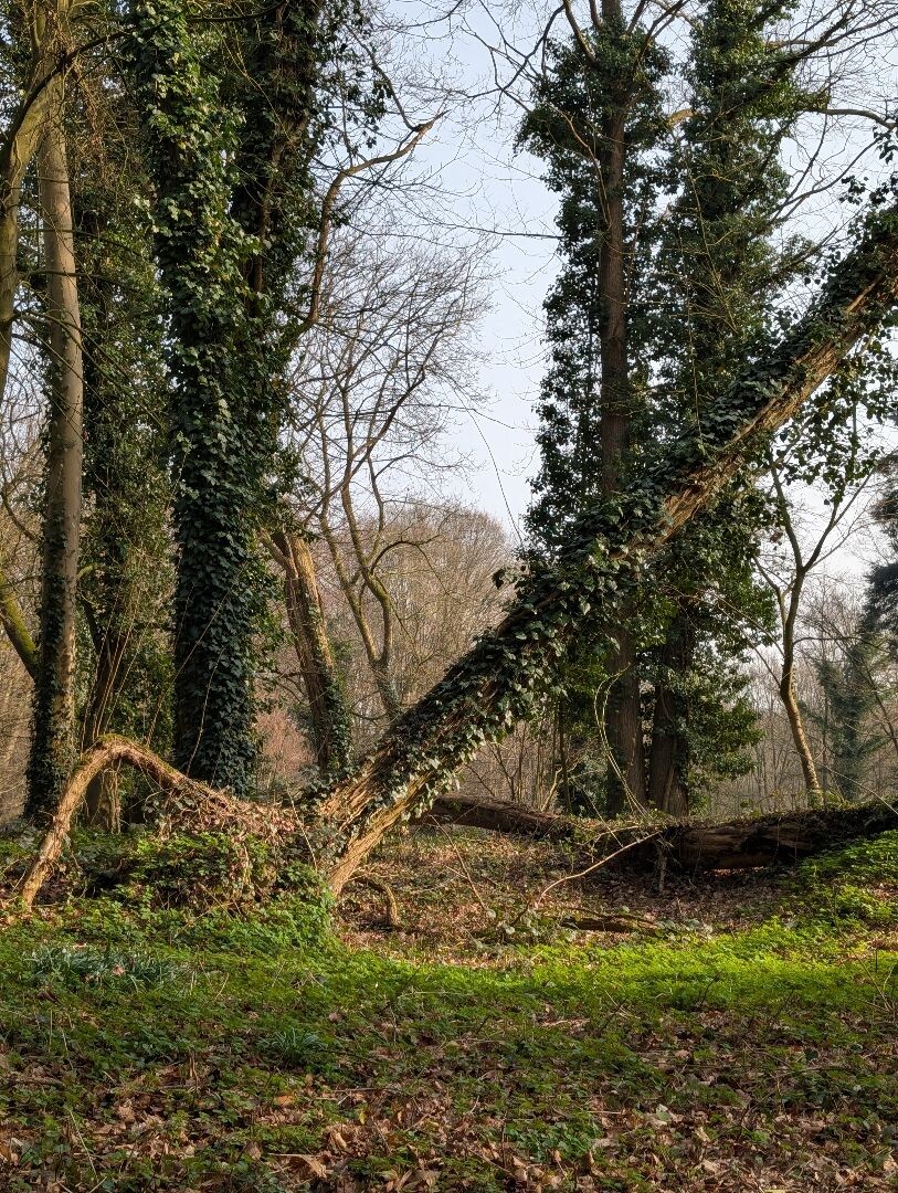 Blauwe Route Sint Jansberg