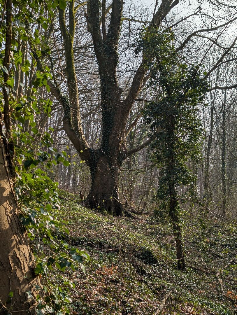 Blauwe Route Sint Jansberg