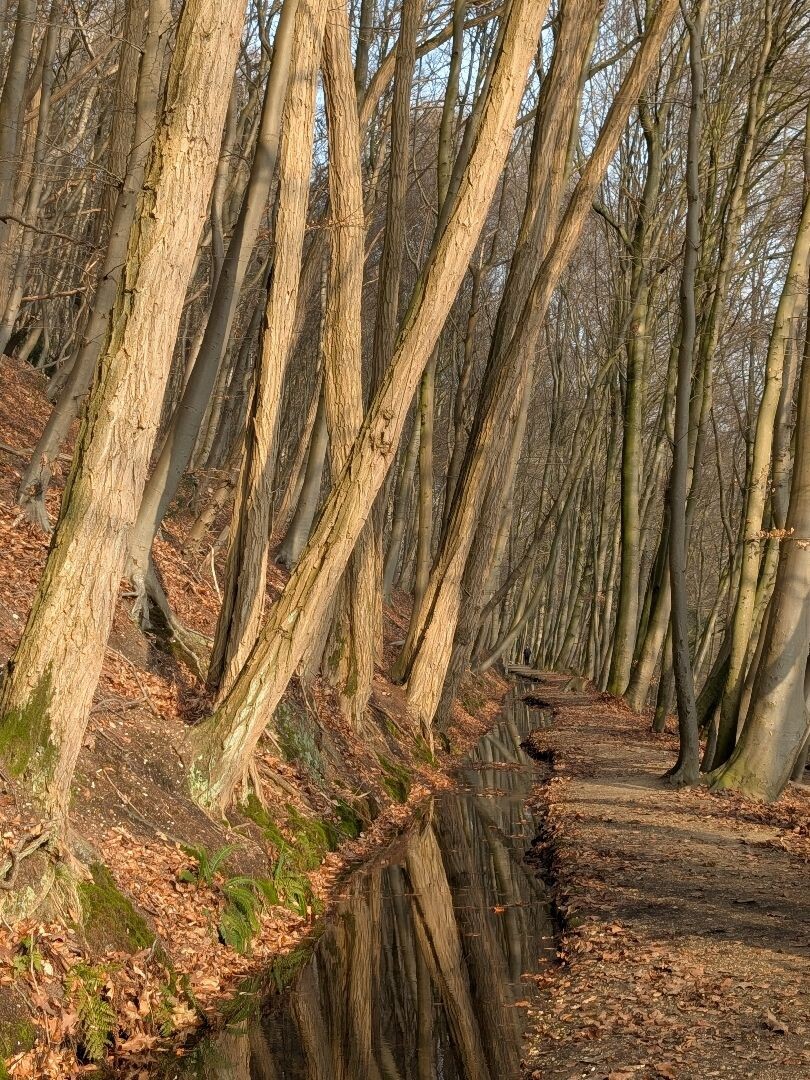 Blauwe Route Sint Jansberg