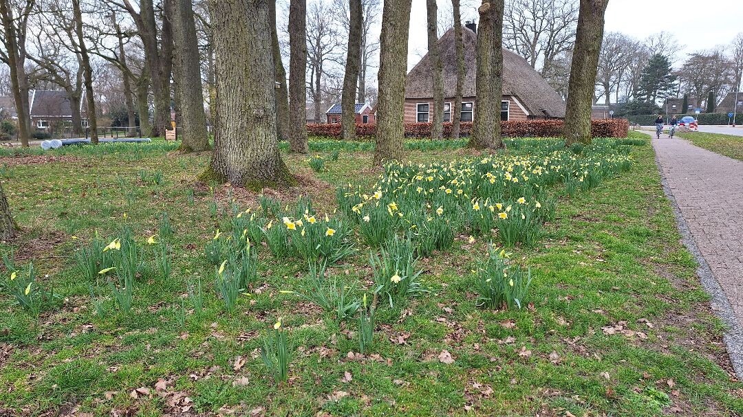 Wandeling vanuit Zuidbarge (Emmen) van ruim een uur