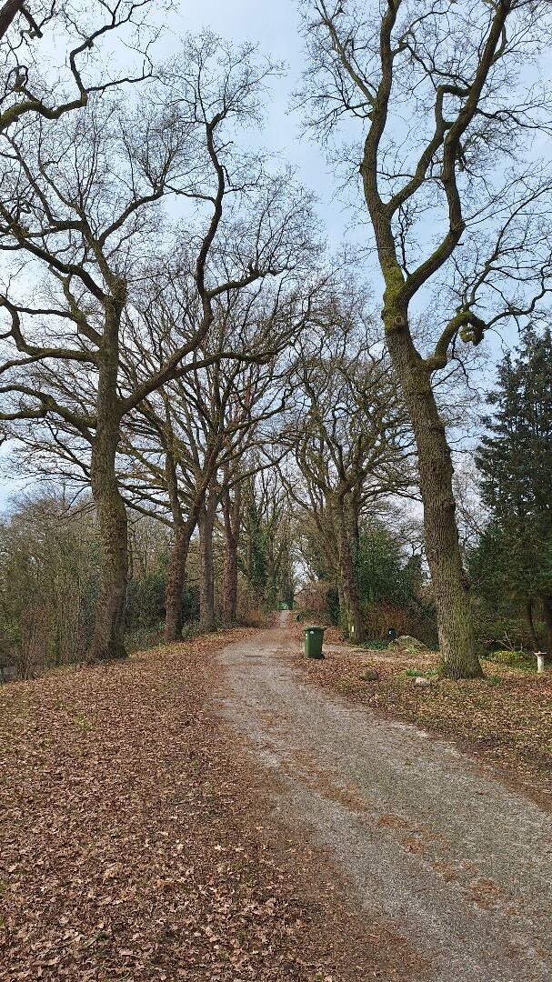 Wandeling vanuit Zuidbarge (Emmen) van ruim een uur
