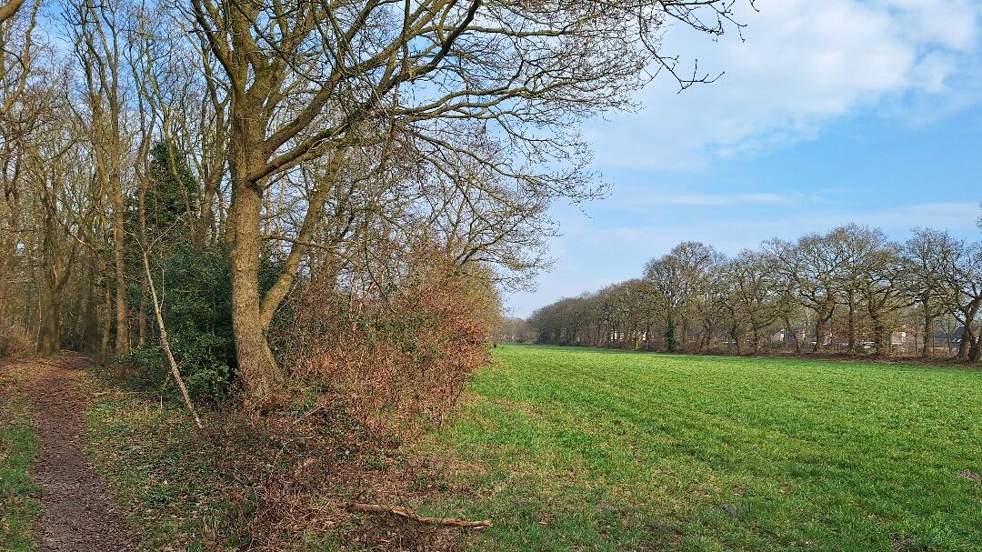 Wandeling vanuit Zuidbarge (Emmen) van ruim een uur