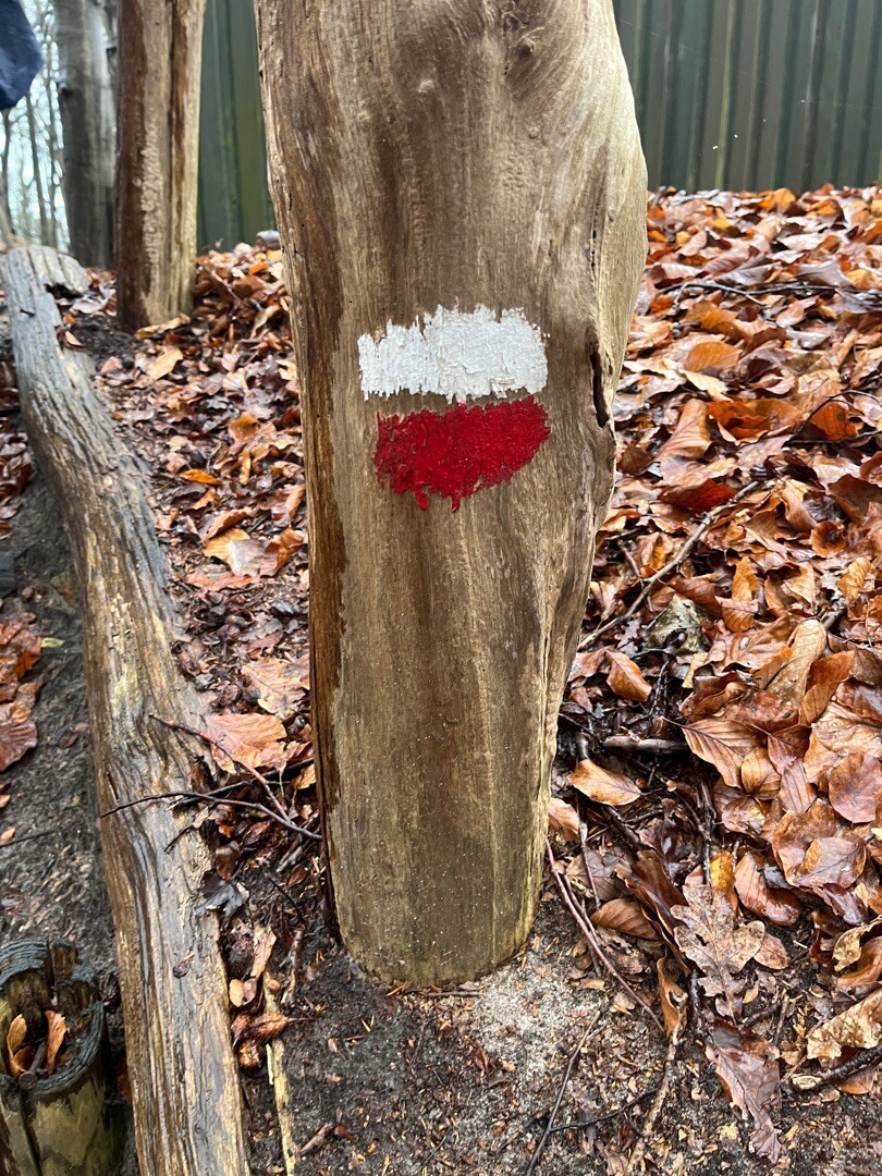 Maarten van Rossumpad