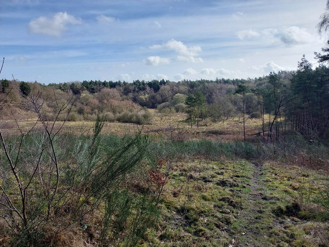 Wandeling naar landgoed Petrea