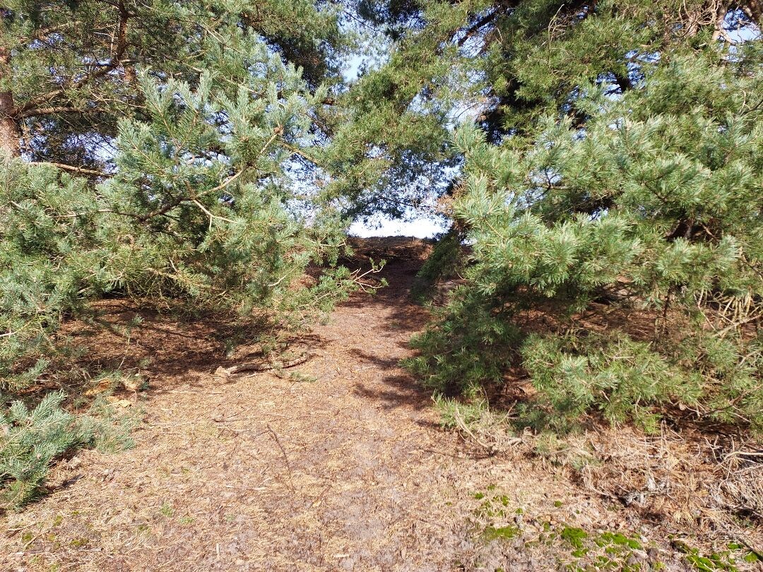 Wandeling naar landgoed Petrea