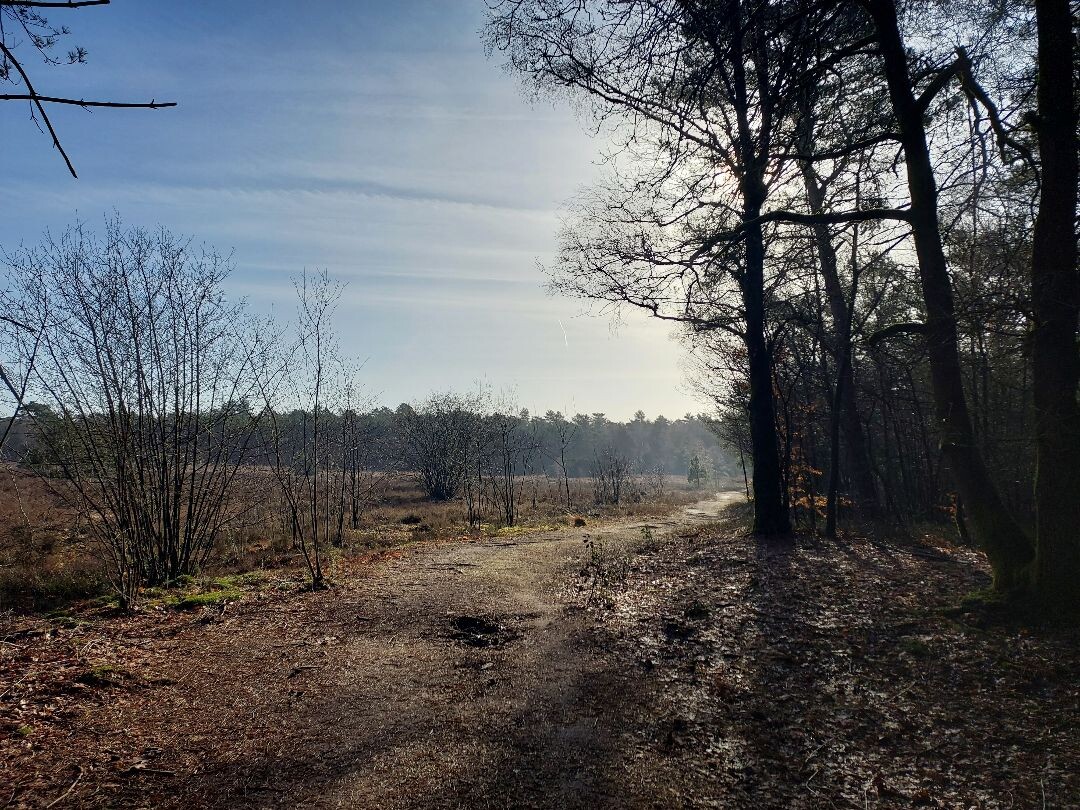 Wandeling naar landgoed Petrea
