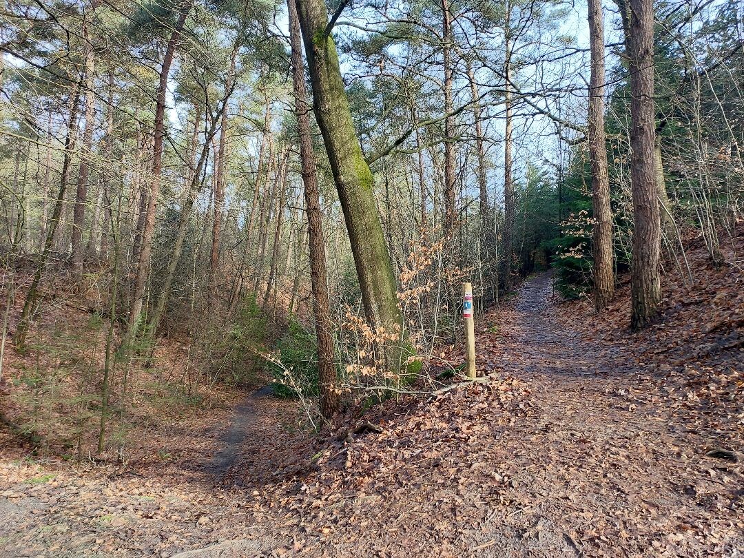 Wandeling naar landgoed Petrea