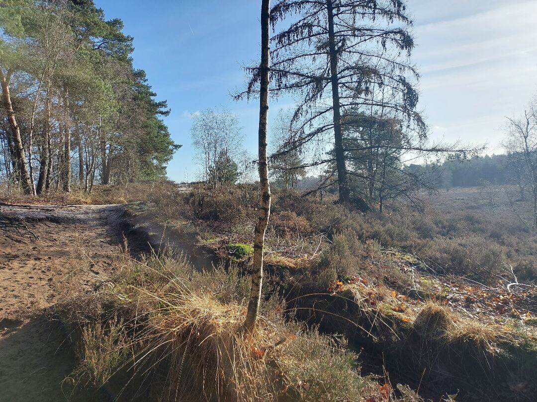 Wandeling naar landgoed Petrea