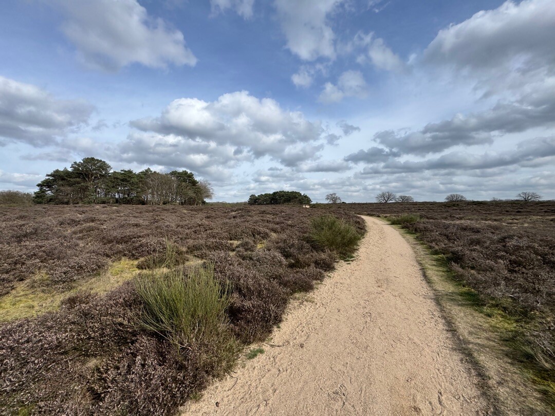 Muiderberg - Blaricum · Zuiderzeepad etappe 8