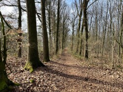 Zwillbrock - Saalman (pension) · Noaberpad etappe 16
