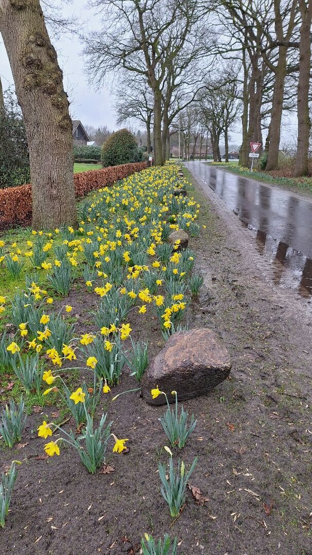 Wandeling vanuit het Center Parcs park " De Huttenheugte", Dalen