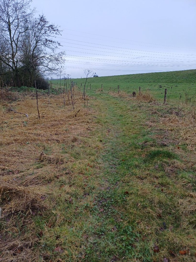 Markluiderpad Veessen