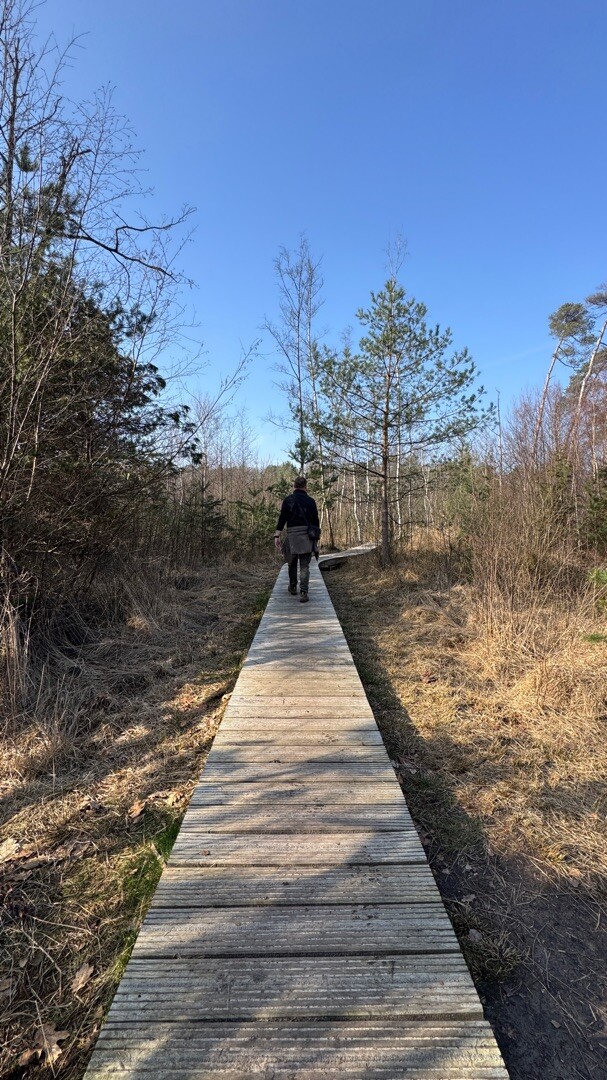 Bruggekeswandeling Ravels