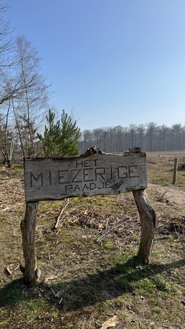 Bruggekeswandeling Ravels